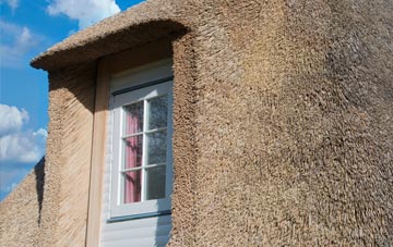 Covender thatch roof disadvantages